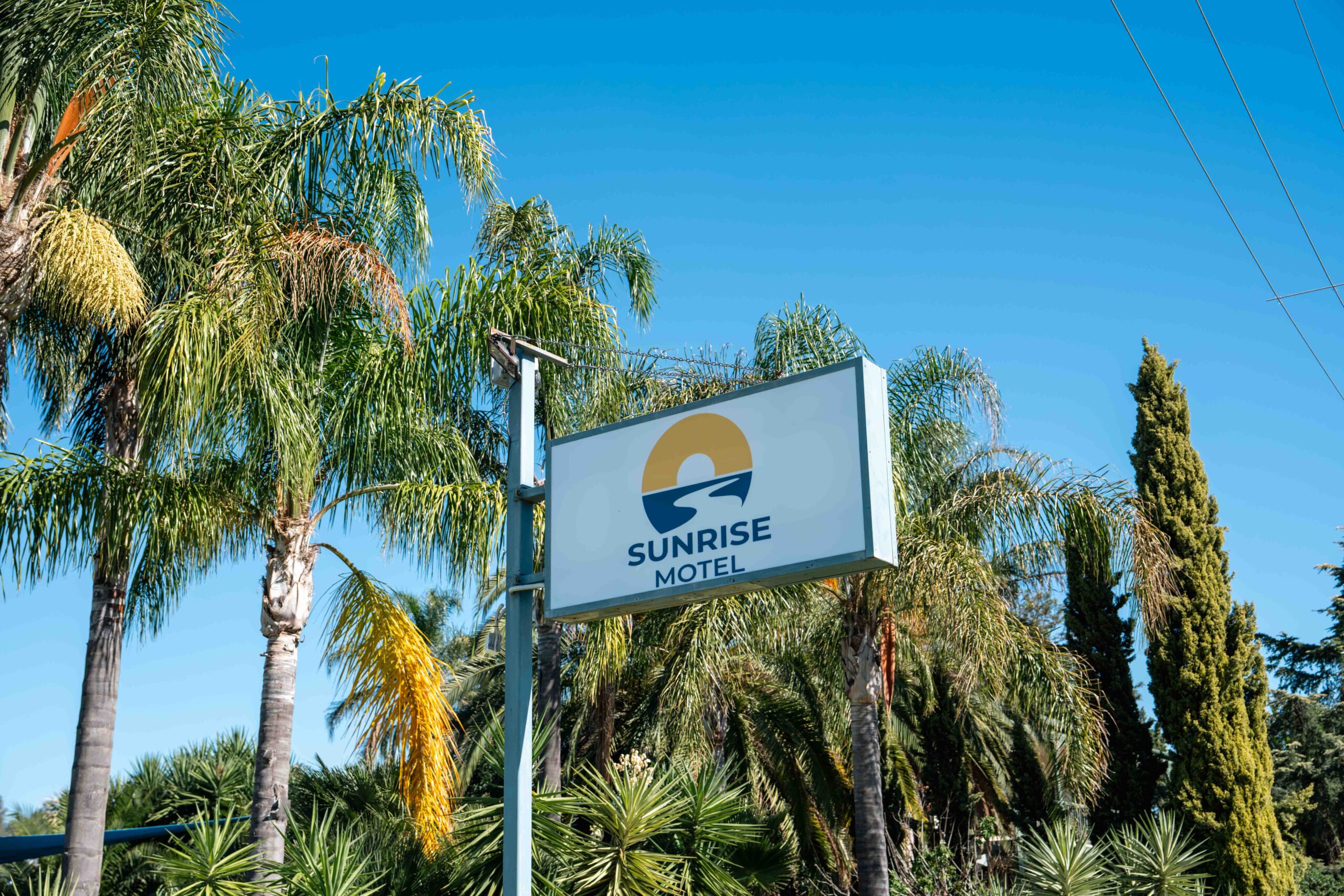 Sunrise Motel sign surrounded by palm trees under a bright blue sky in Barooga NSW